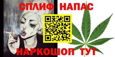 гидра Гатчина