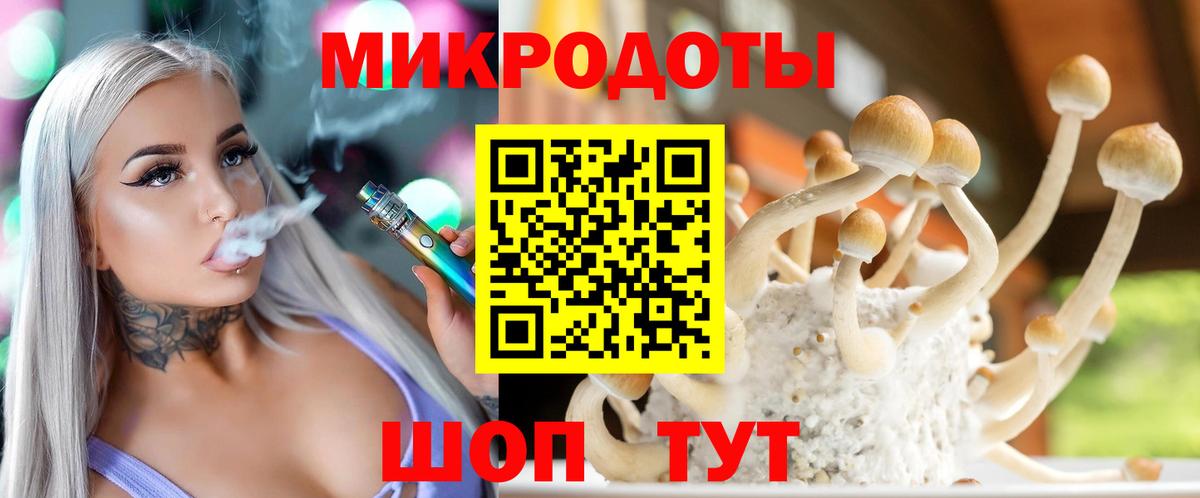 Псилоцибиновые грибы GOLDEN TEACHER Каменка